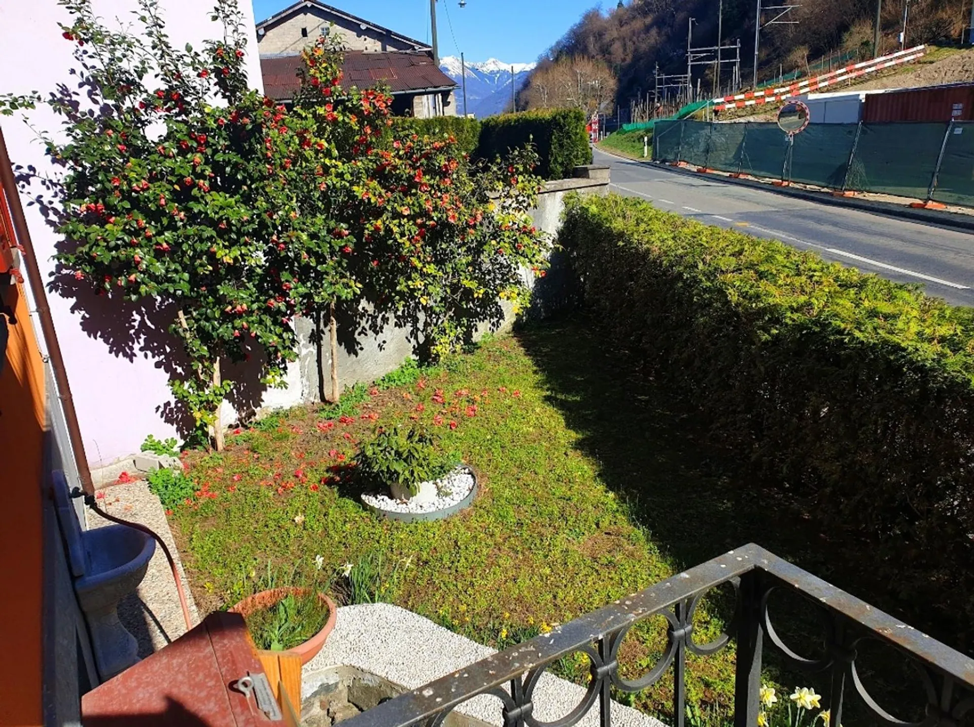 Image 11