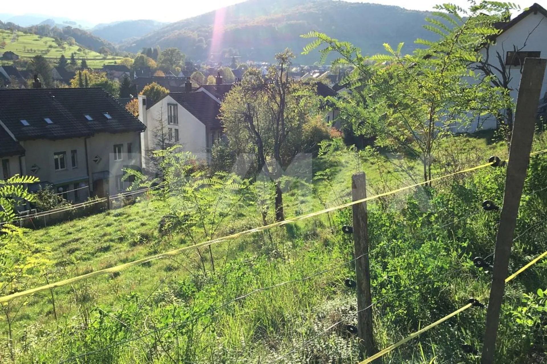 Bild 7
