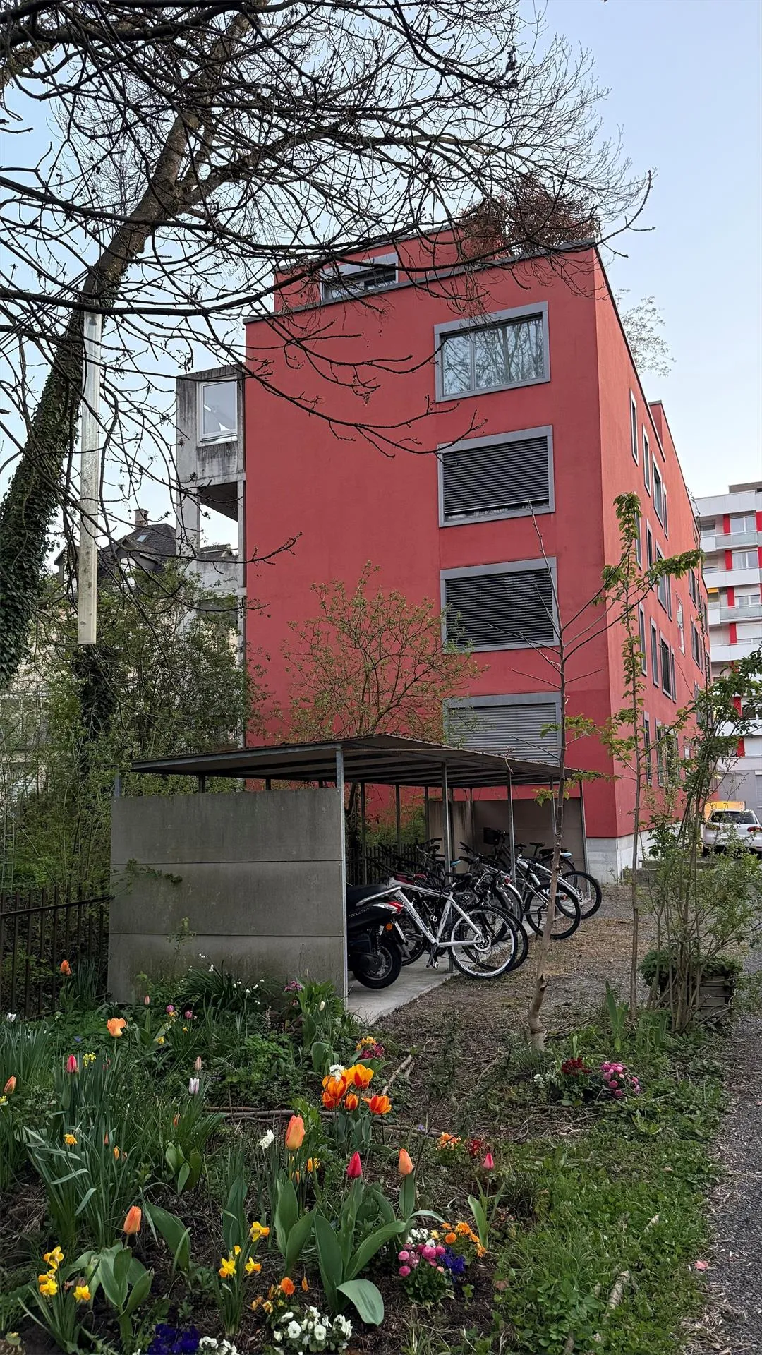 Image 12