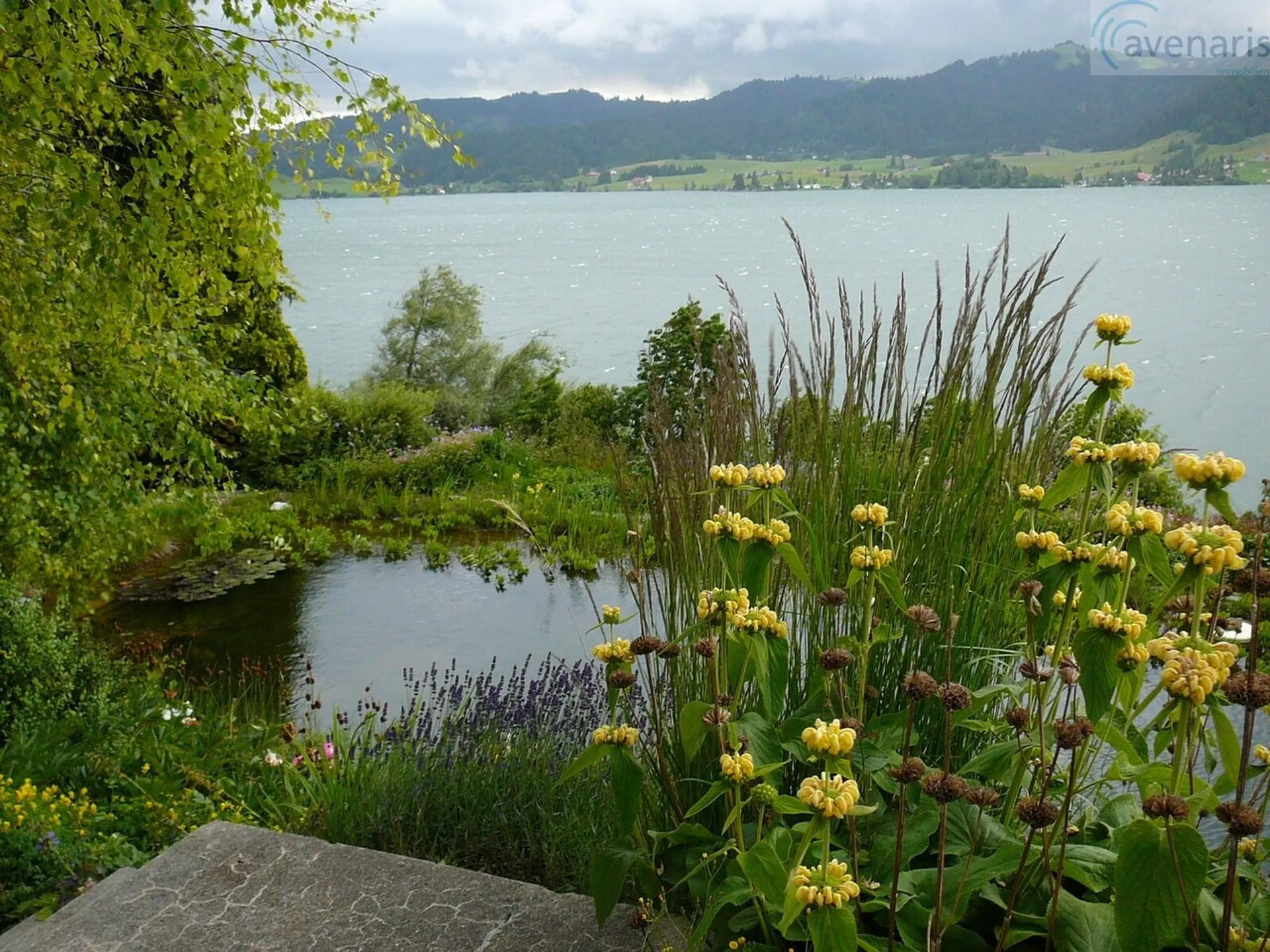 Ihr Wohntraum mit Panoramaausblick am Sihlsee