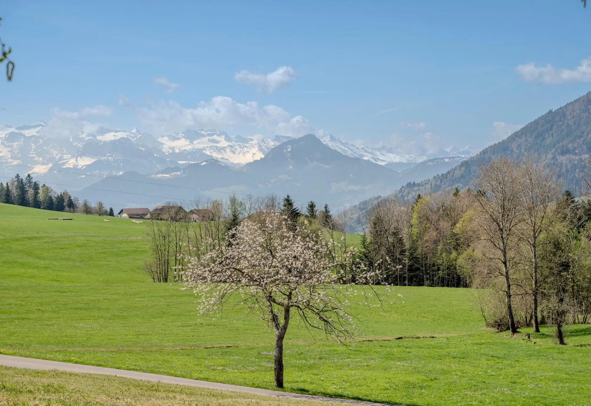 Bild 36