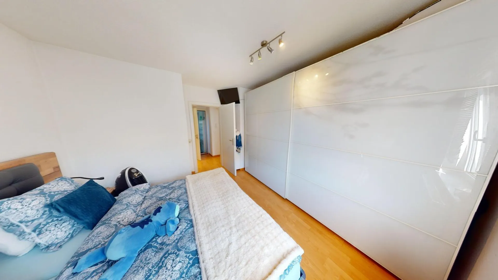 Bild 7