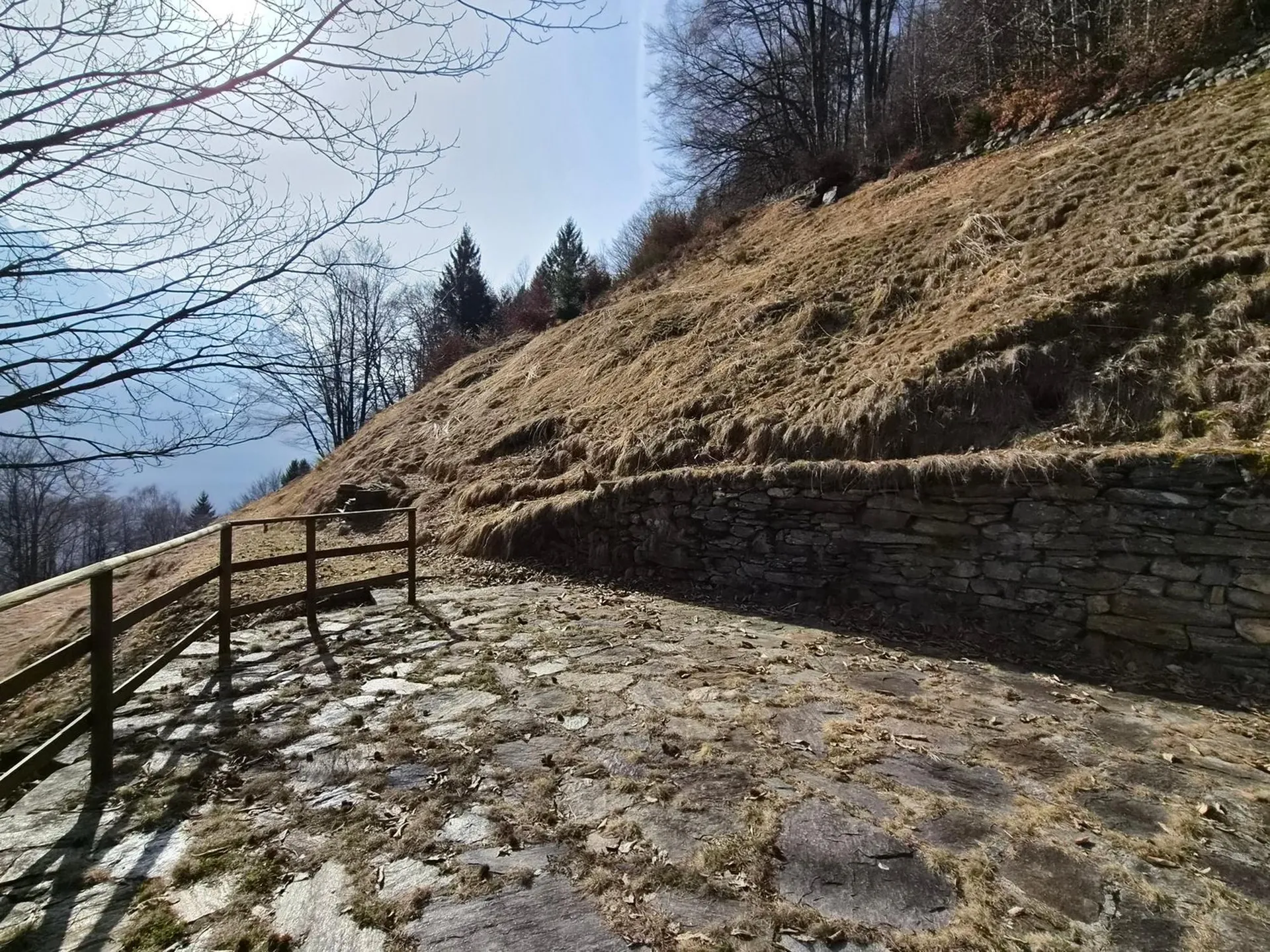 Bild 19