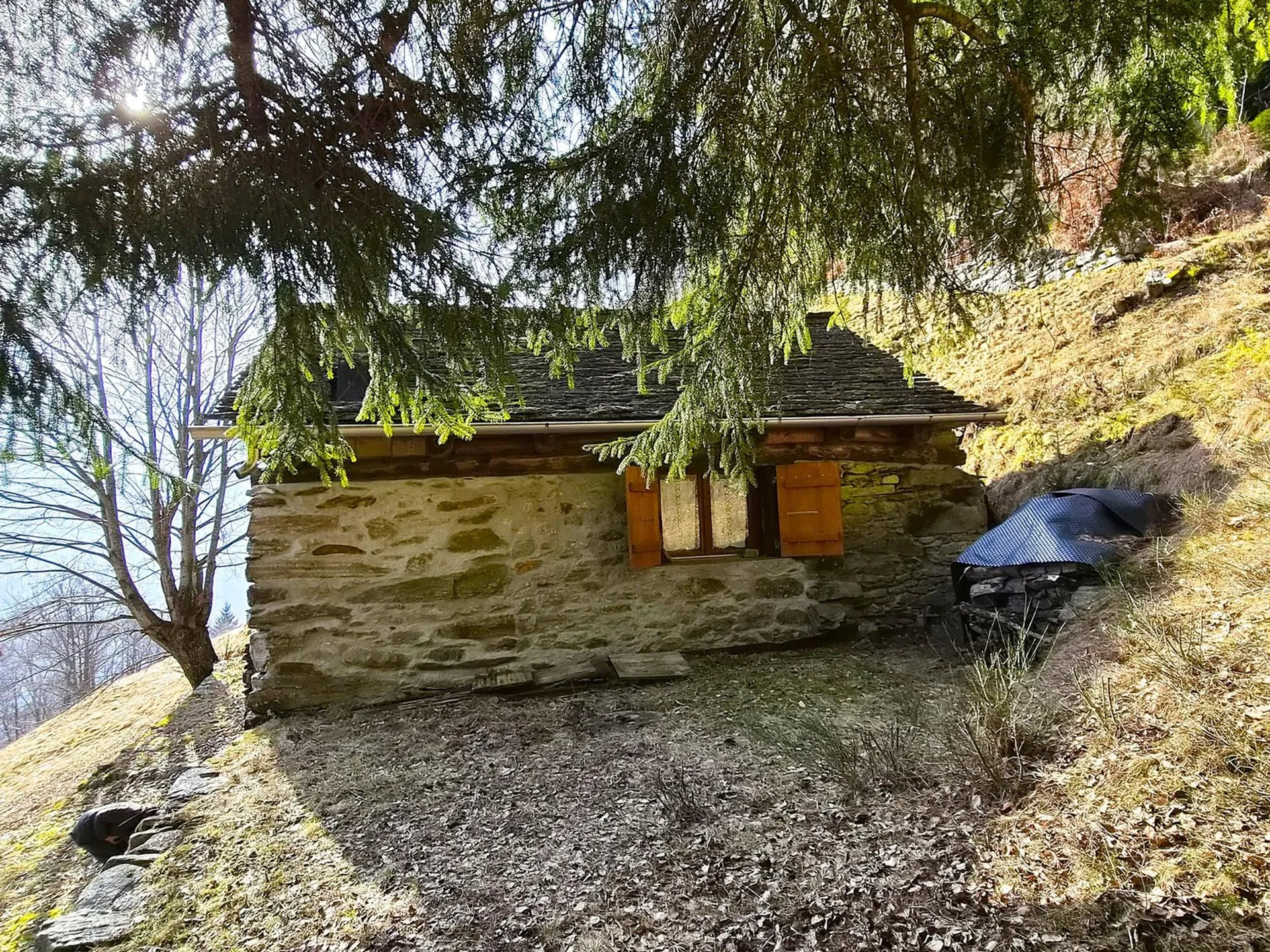Bild 3