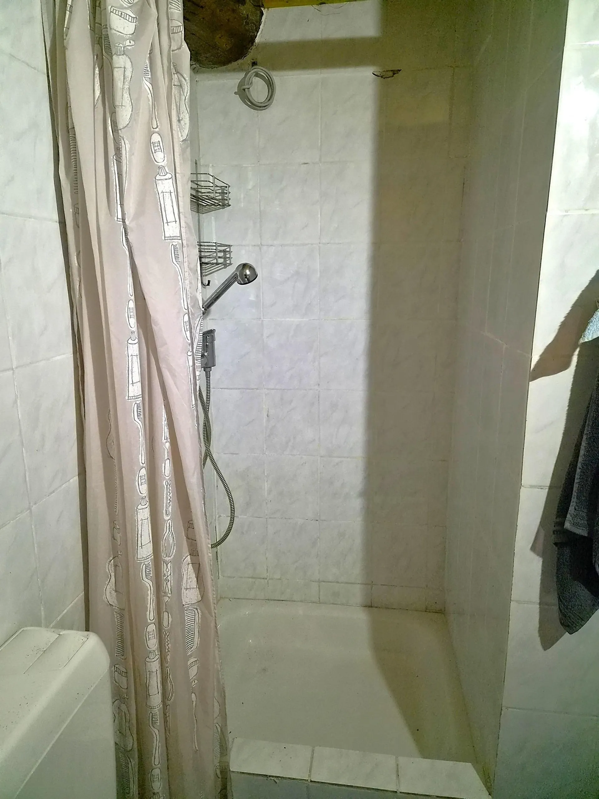 Bild 11