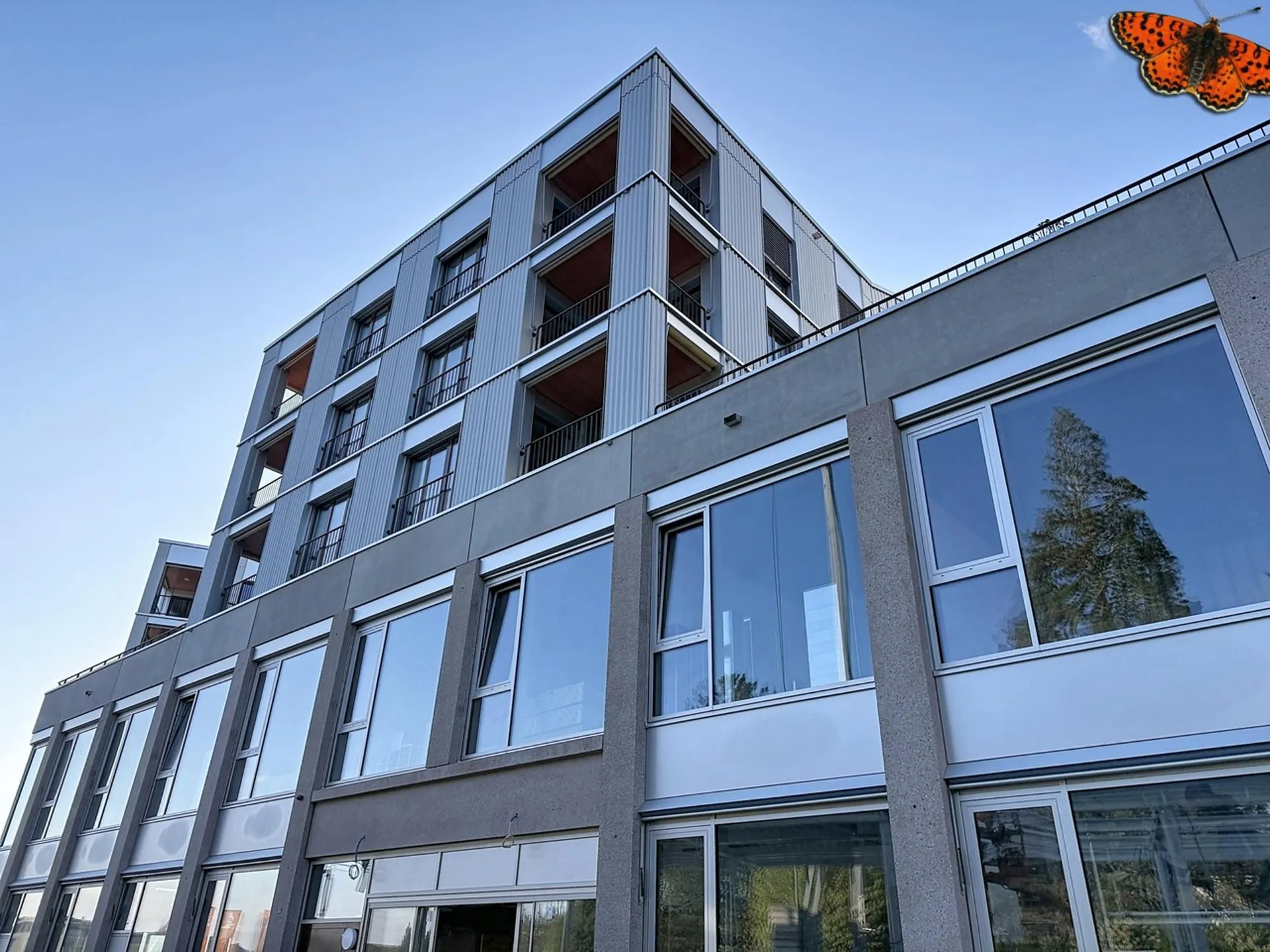 Bild 12