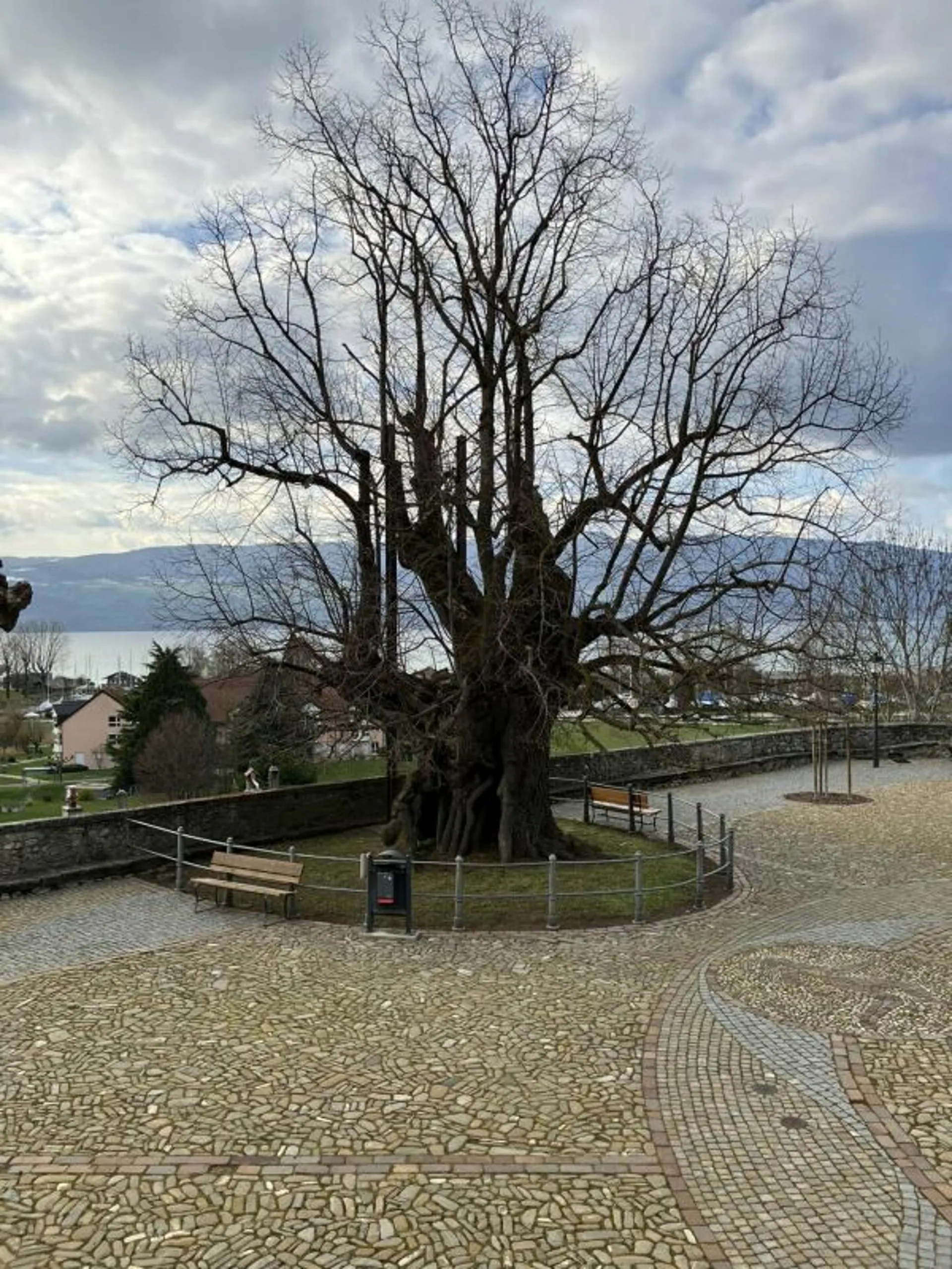 Bild 13