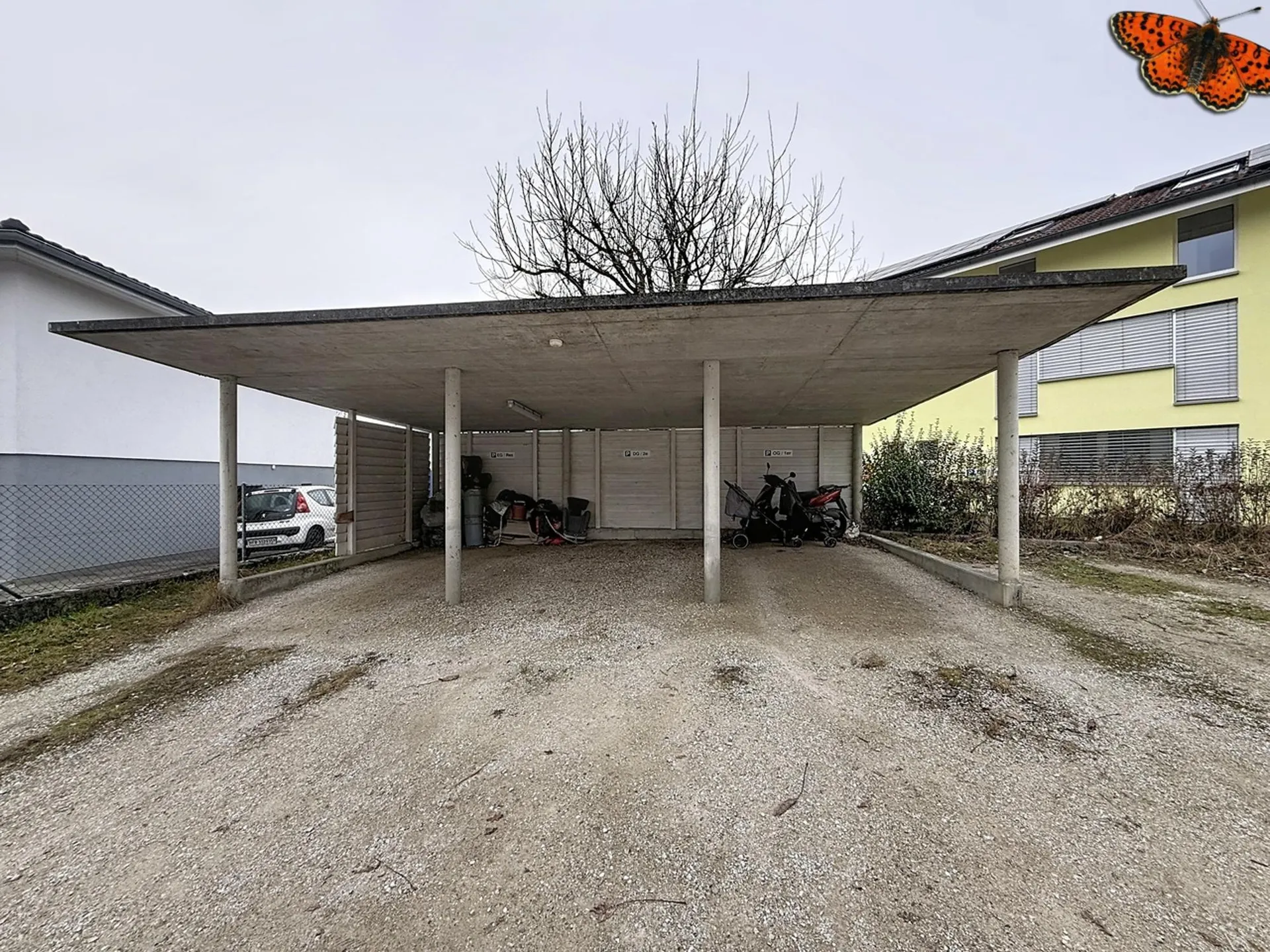 Bild 12