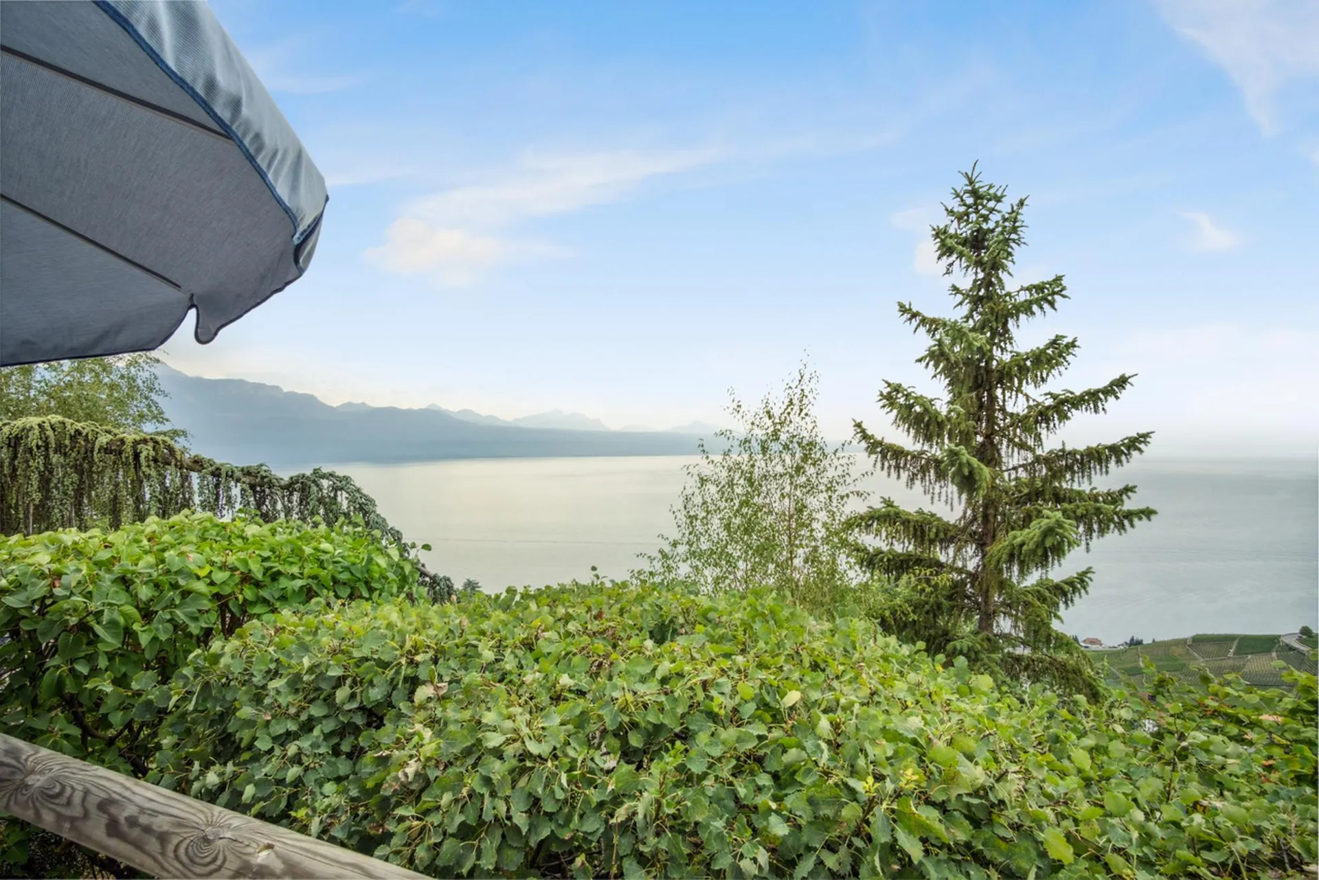 Villa individuelle avec vue panoramique sur le Léman - Lavaux