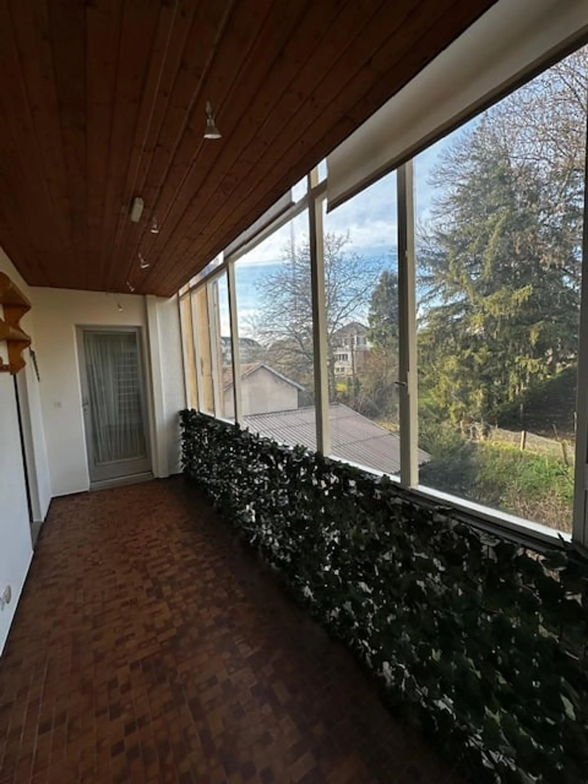 Image 13