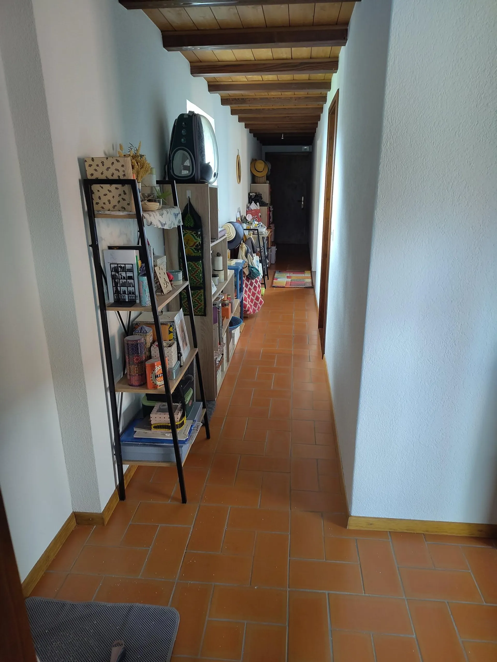 Bild 5