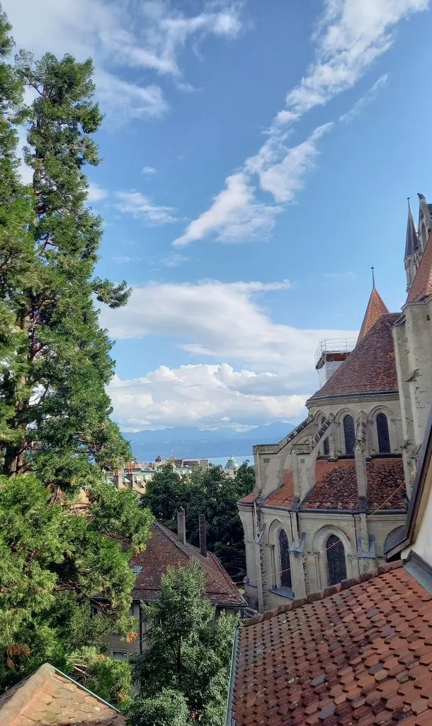 Image 12