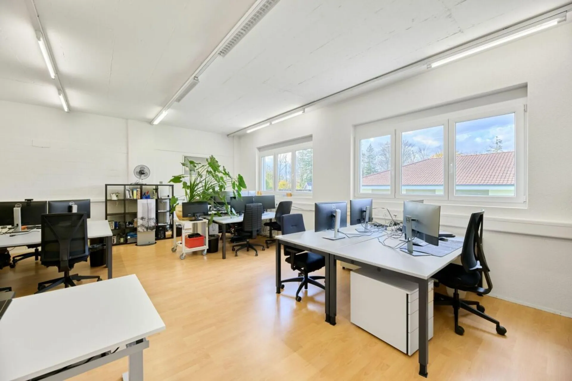 Bild 11