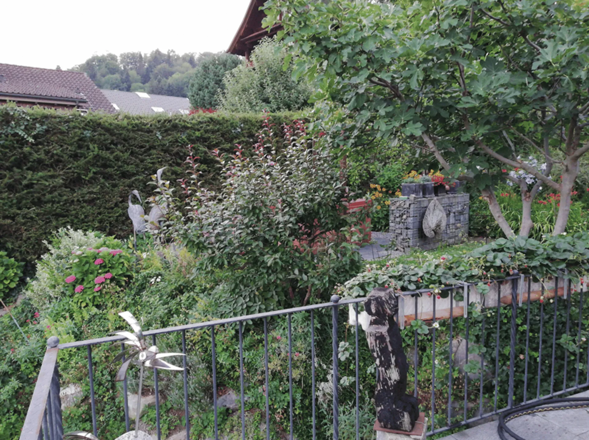 Bild 10