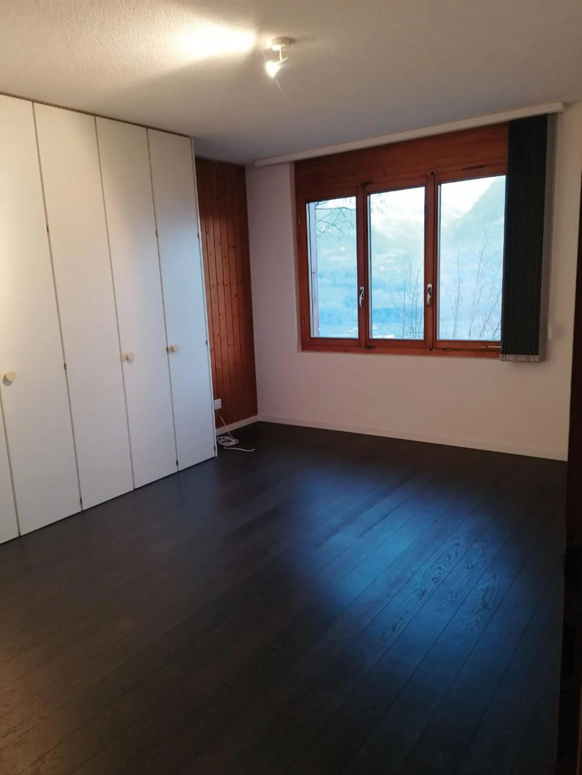 Bild 36