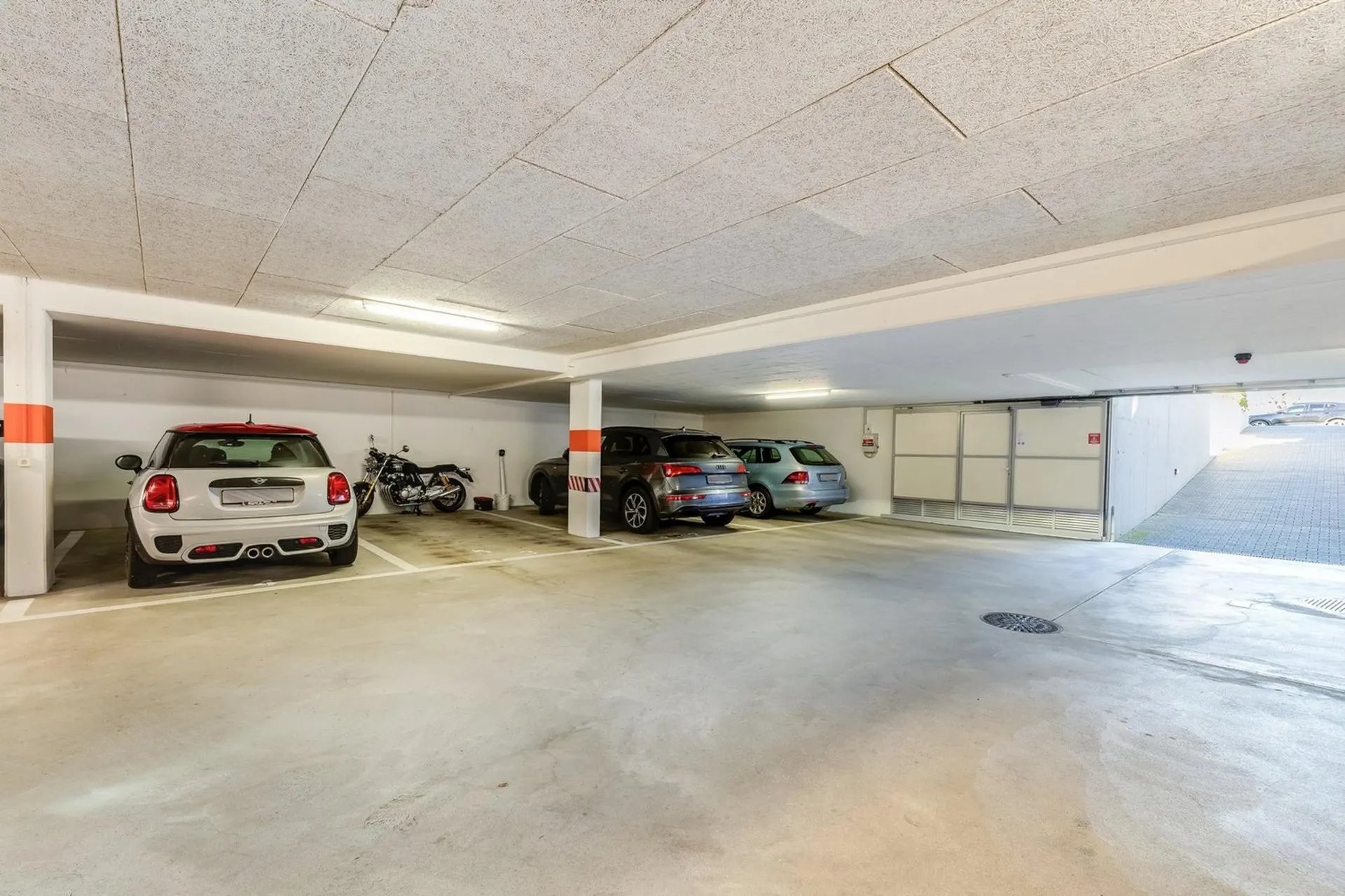 Immagine 21