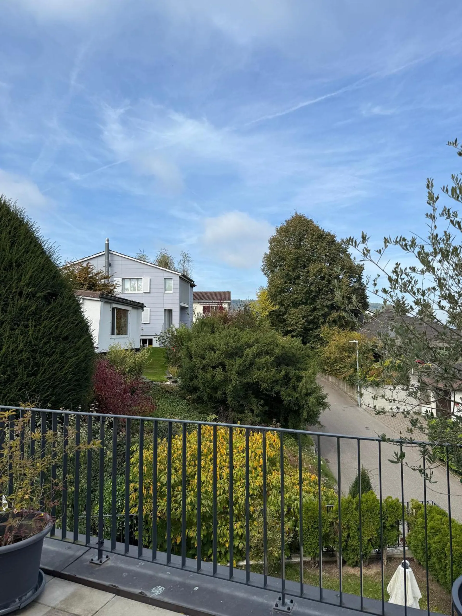 Image 31