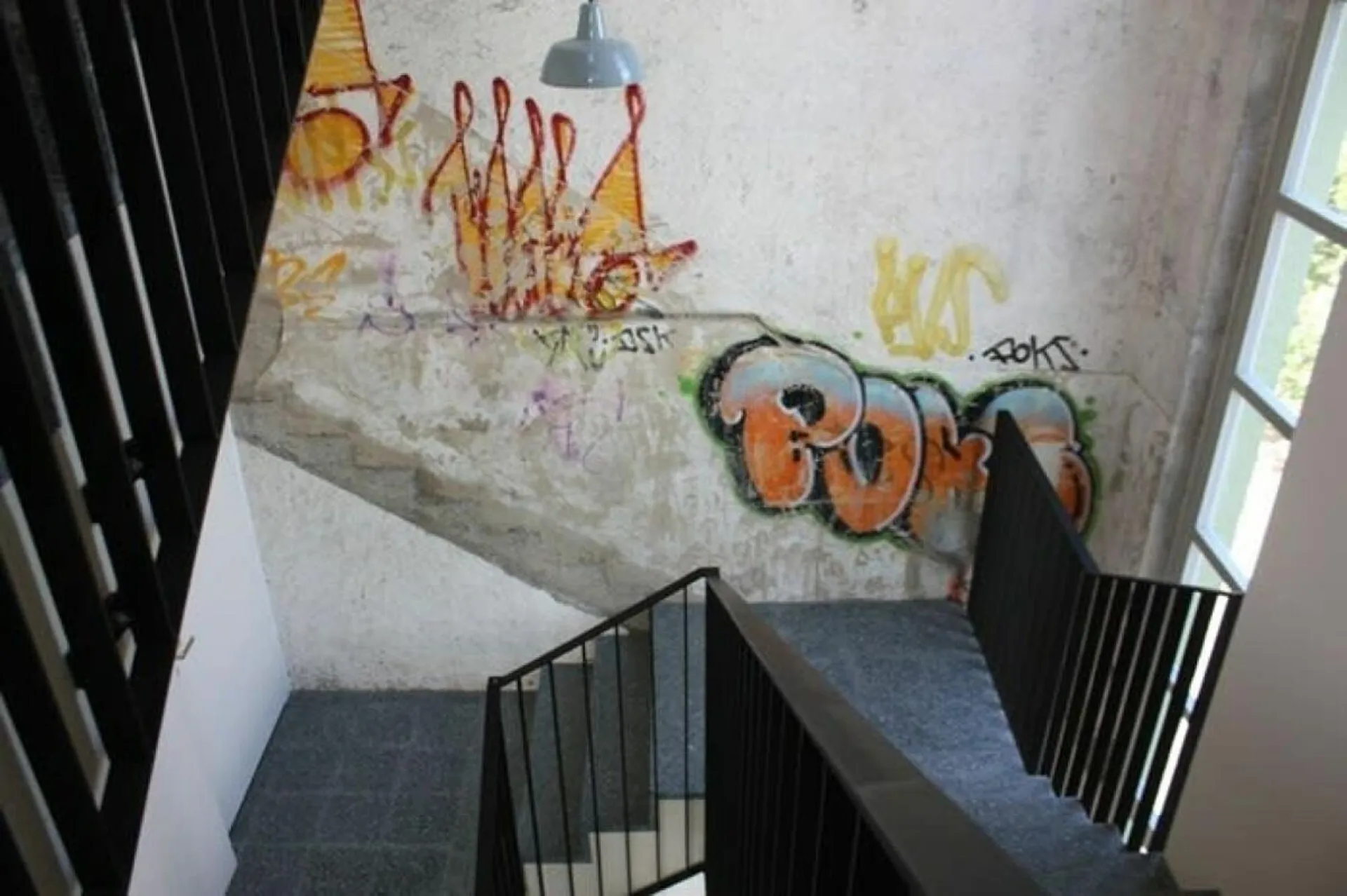Immagine 7