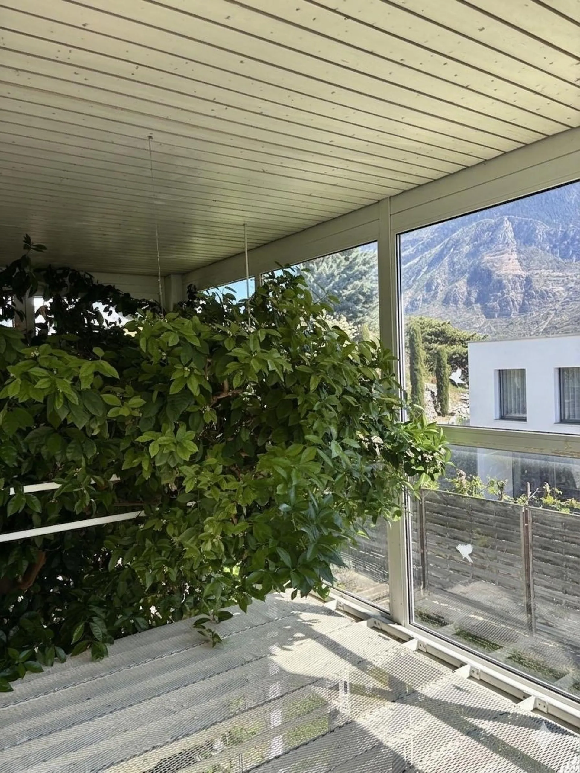 Bild 17
