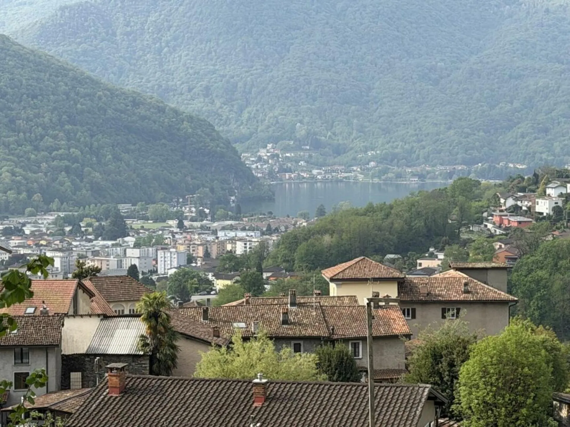 Image 6