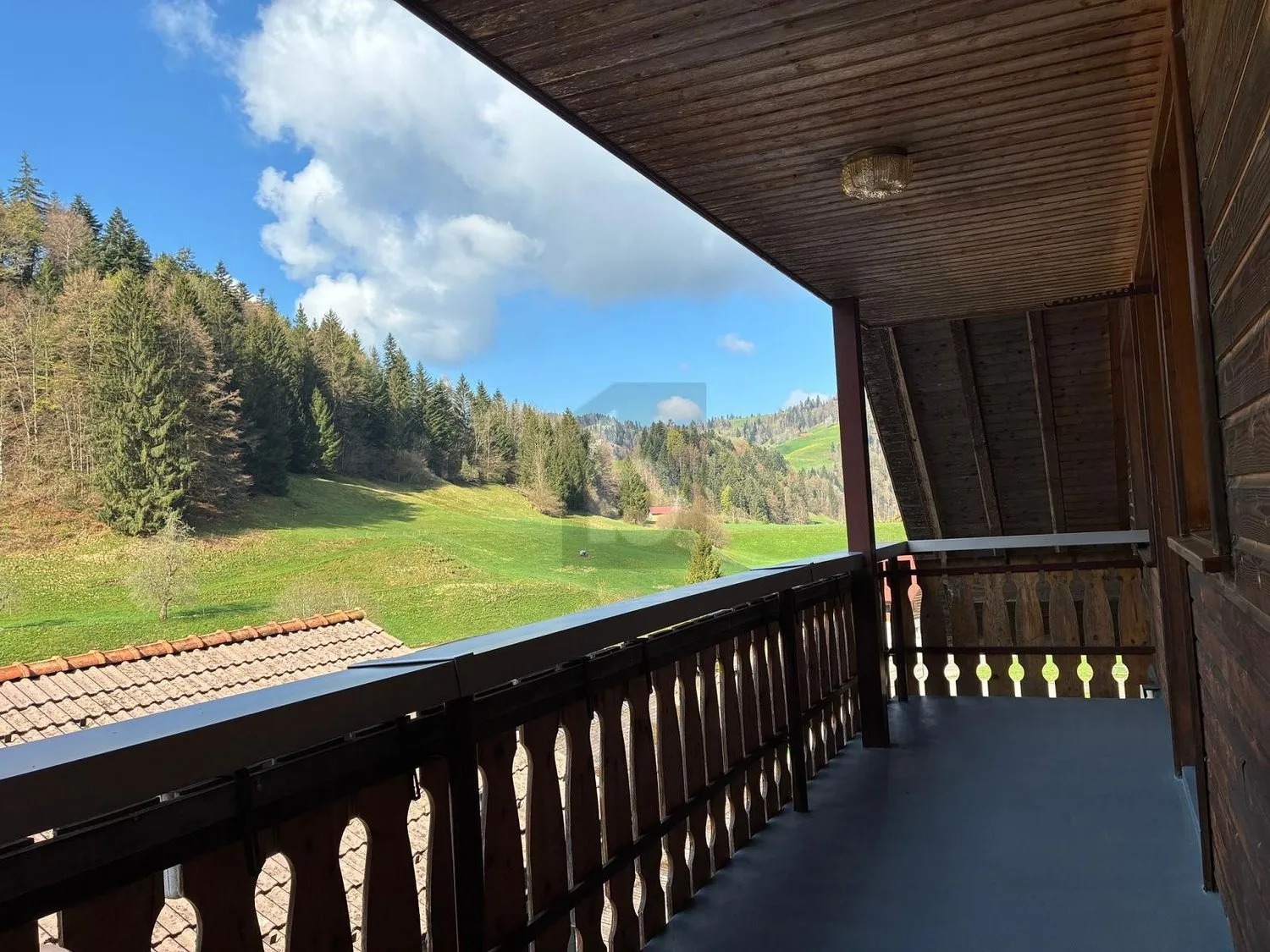 GROSSZÜGIG UND NATURNAH MIT BALKON