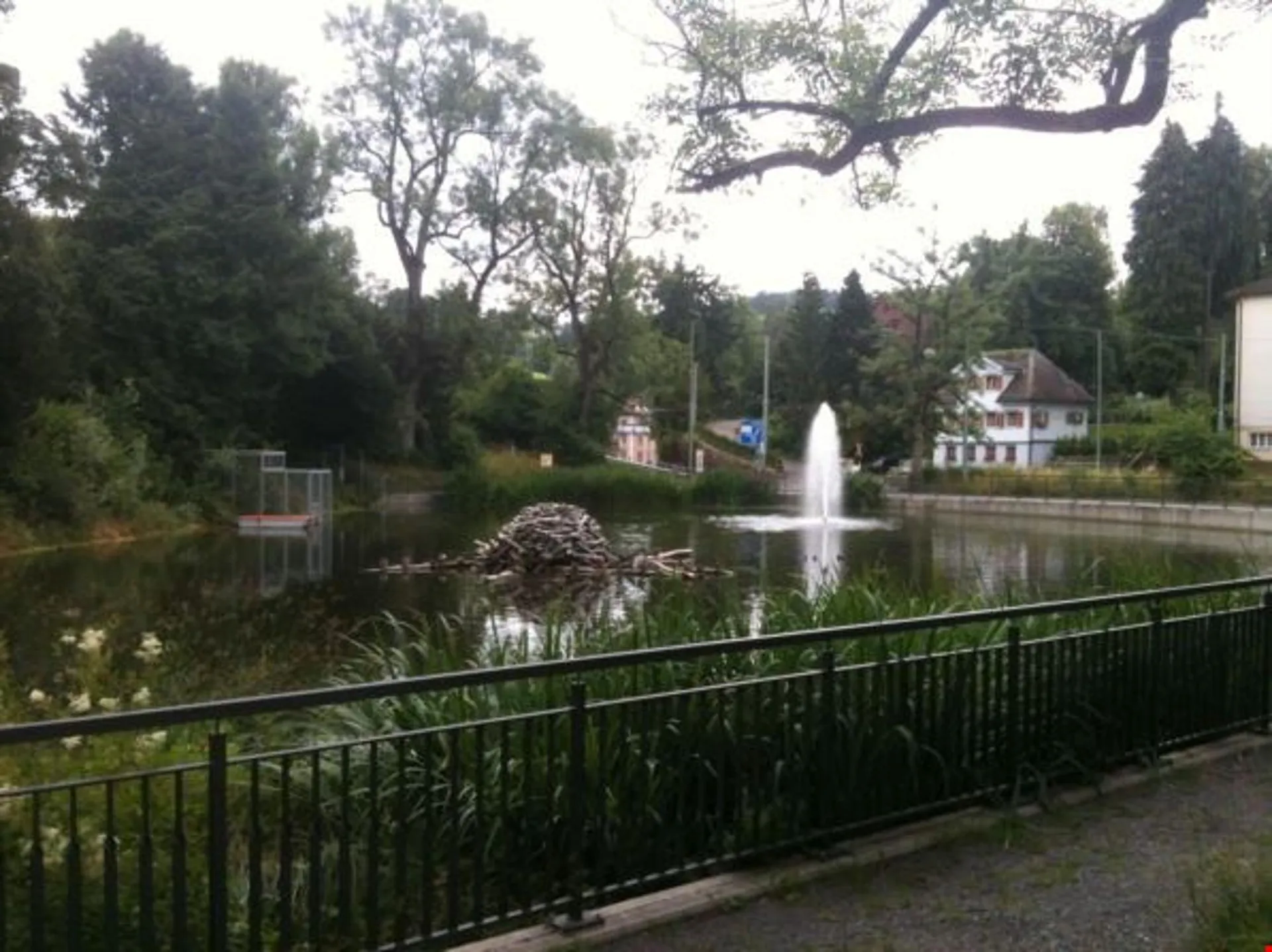 Bild 12