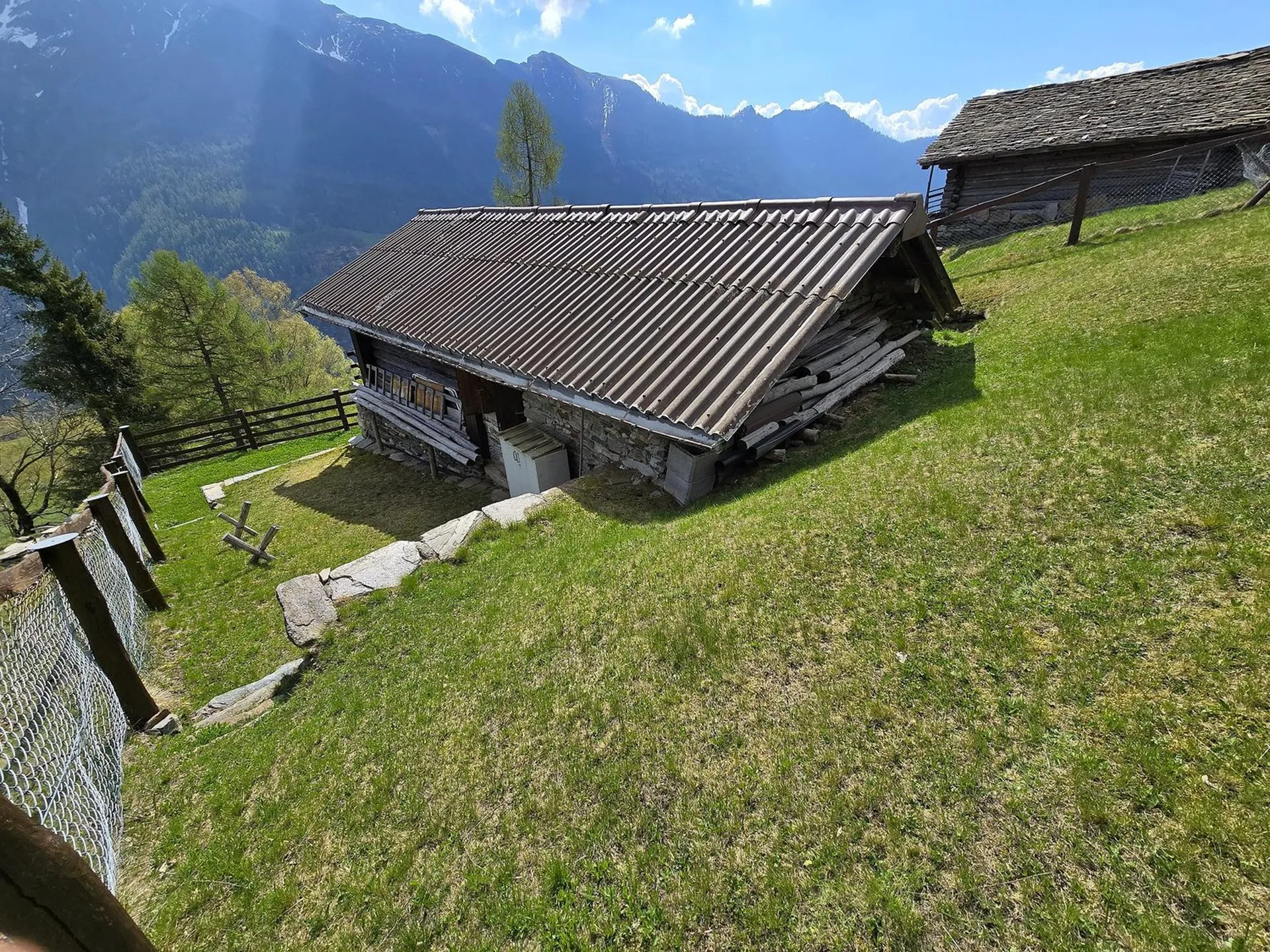 Bild 19