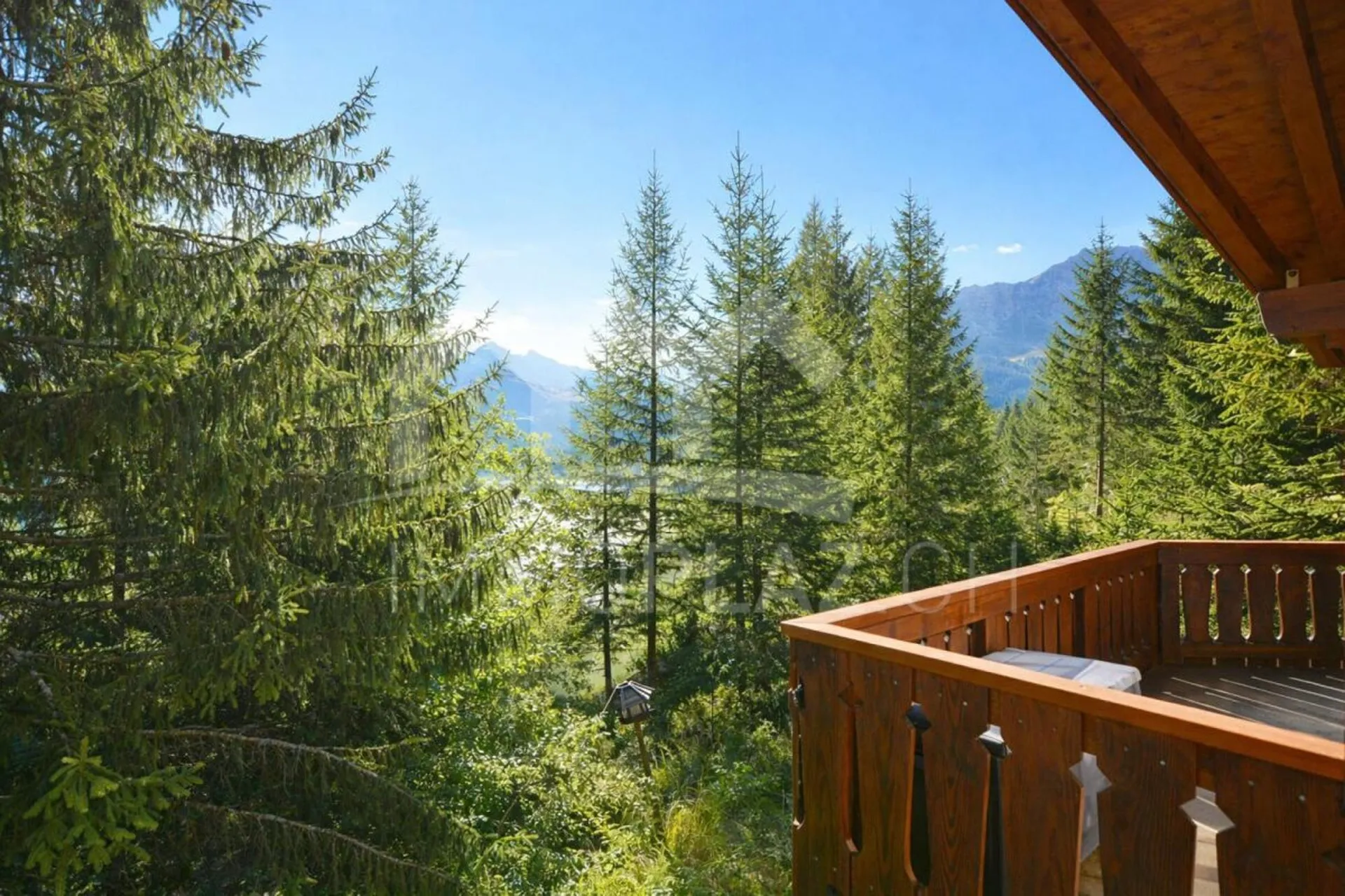 Charmantes Ferienchalet im Skigebiet