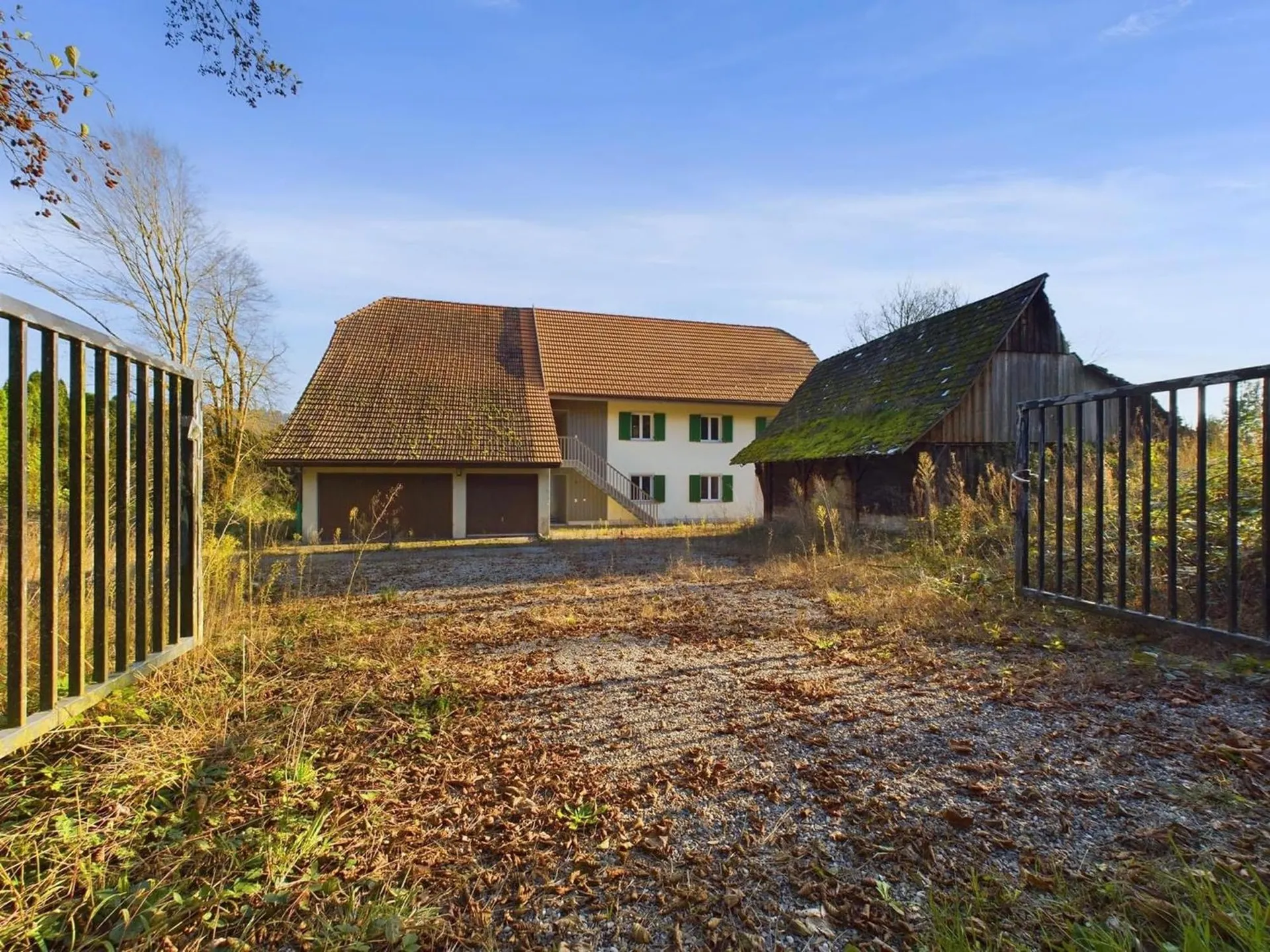 Image 21