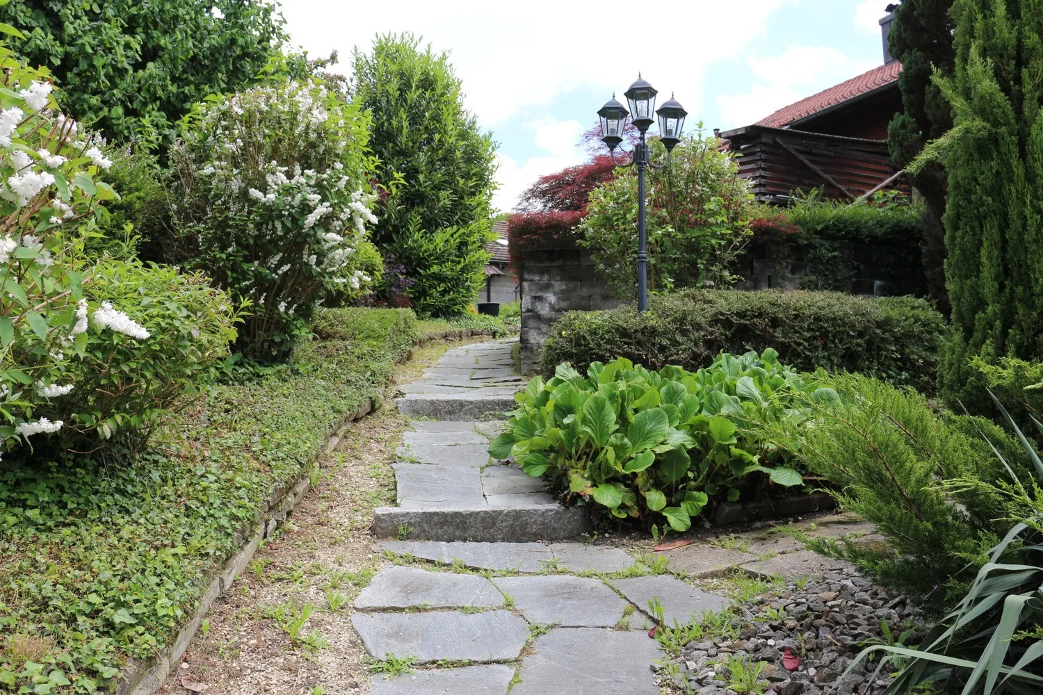 Bild 12