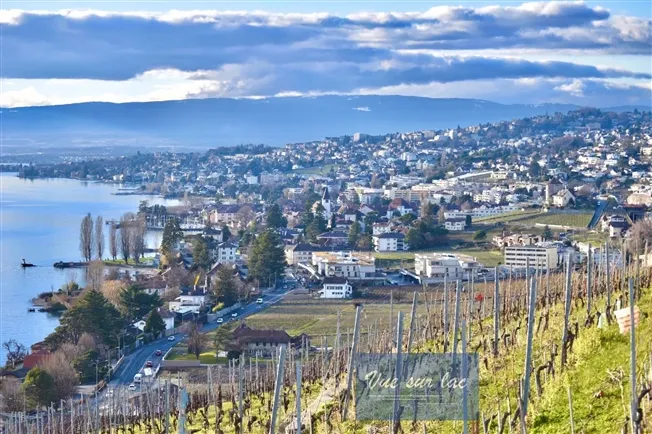 Moderne Wohnung mit spektakulärem Blick auf Lavaux