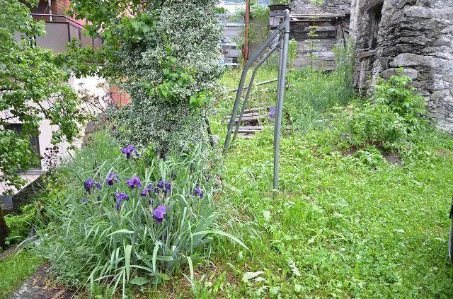 Bild 19