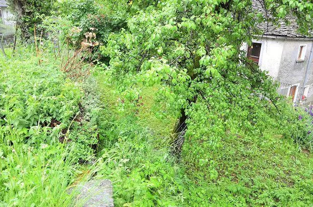 Bild 17