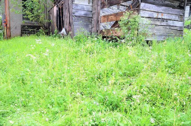 Bild 18