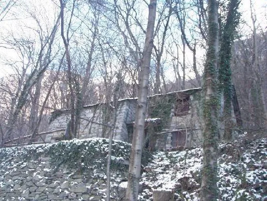 Zwei Rustici zum Ausbauen mit 8887 m2 Wald