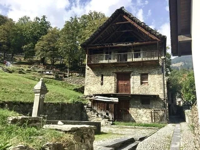 Image 13