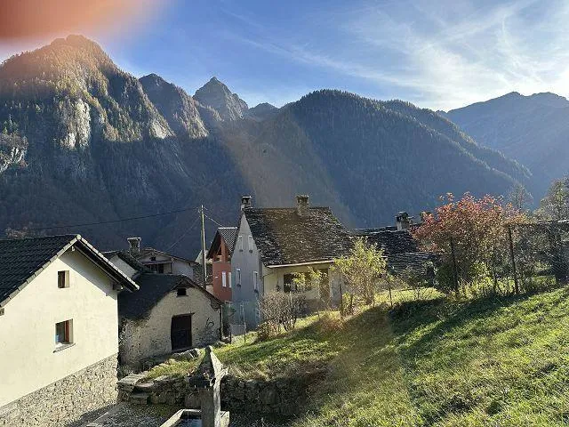 Image 12