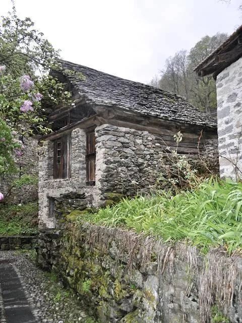Image 17