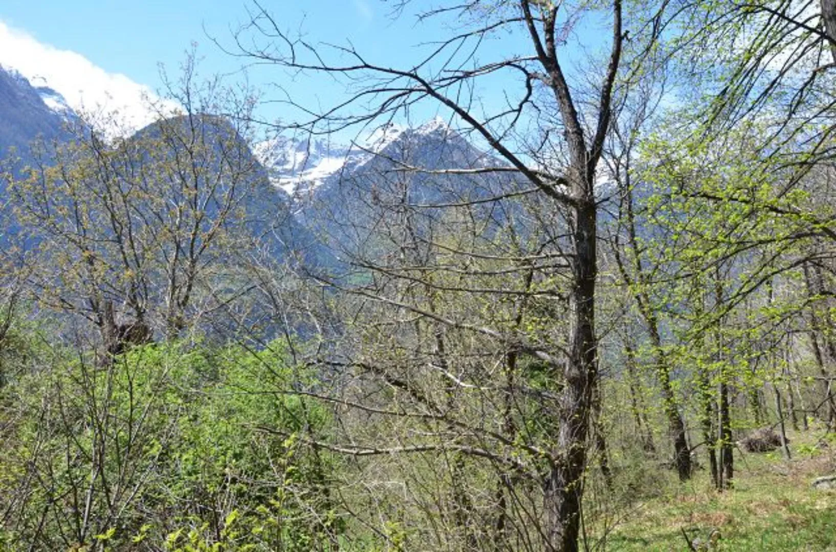 Bild 11