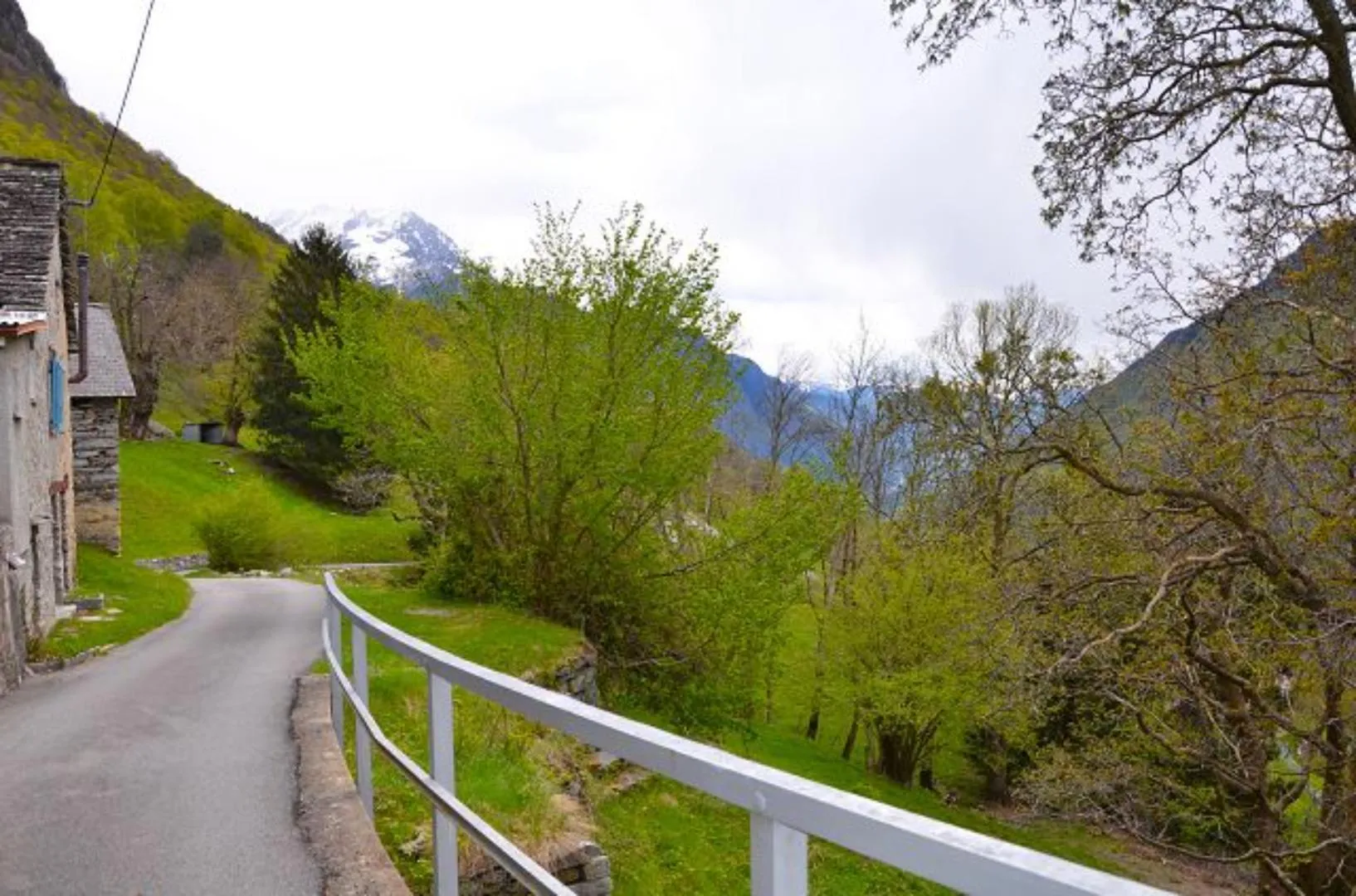Bild 12