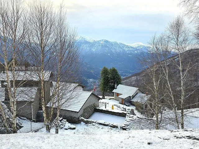 Image 13