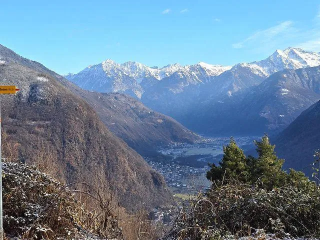 Image 12