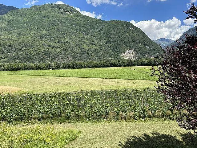 Image 16