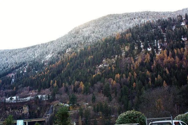 Bild 23