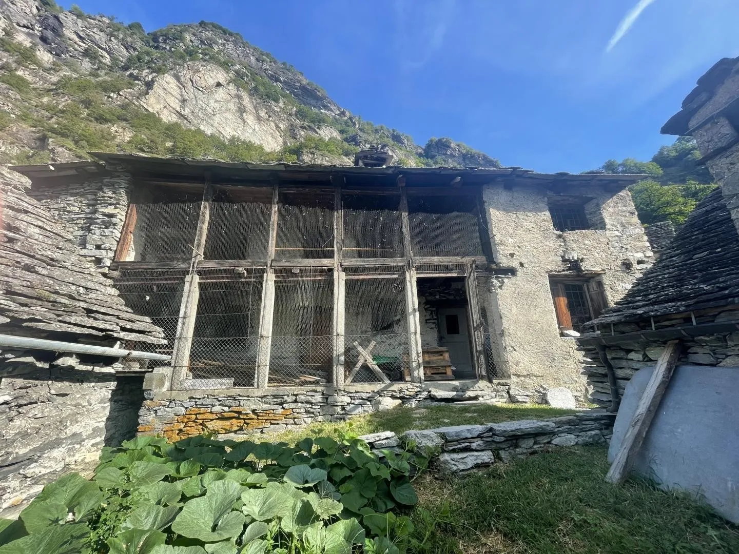 Image 7