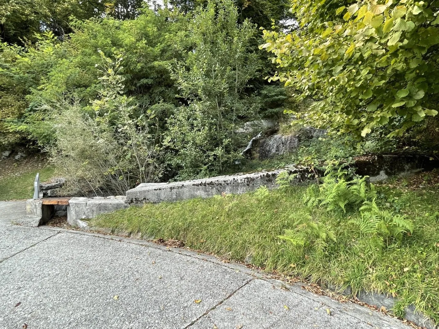 Image 12