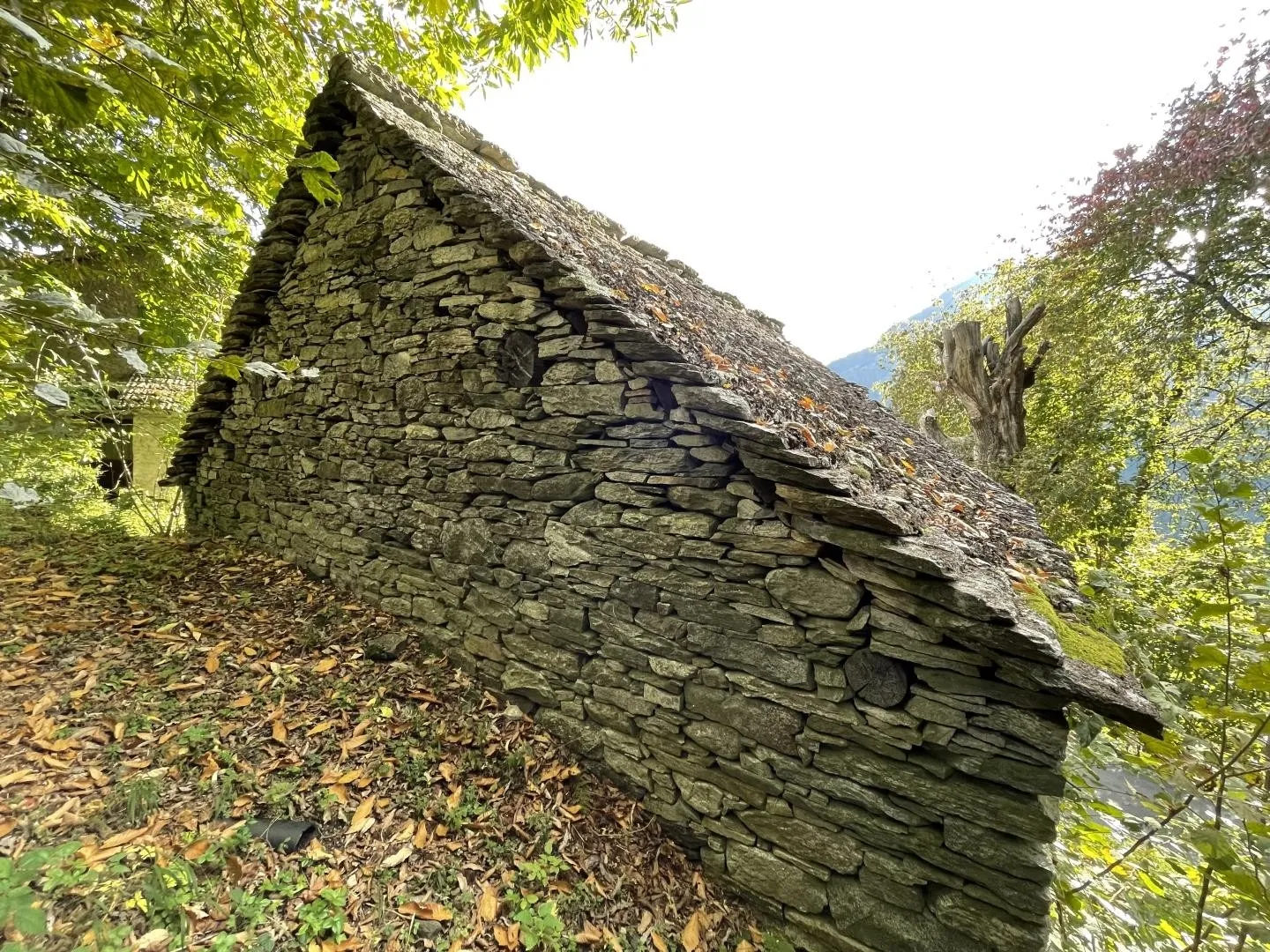 Image 8