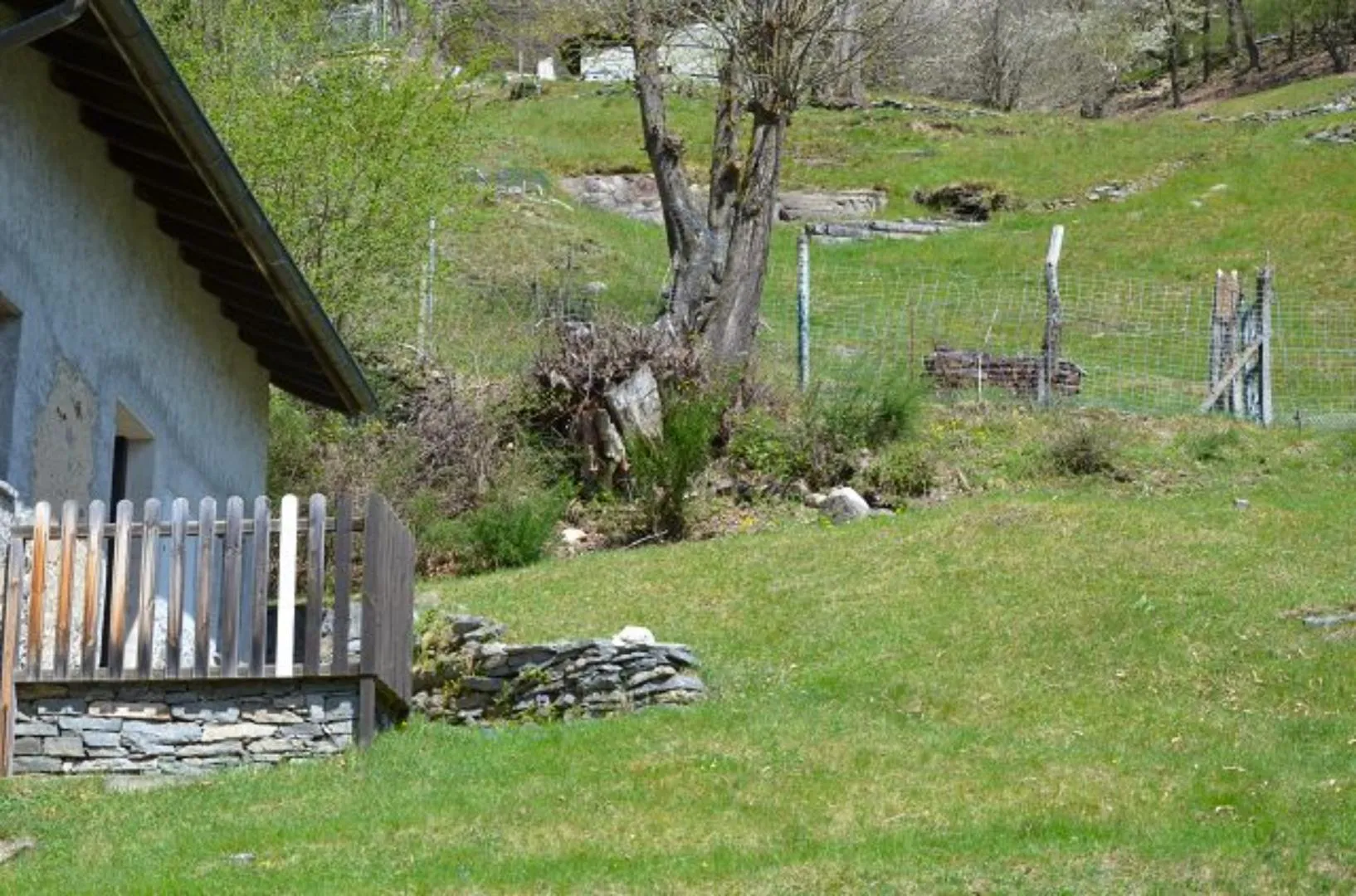Image 23