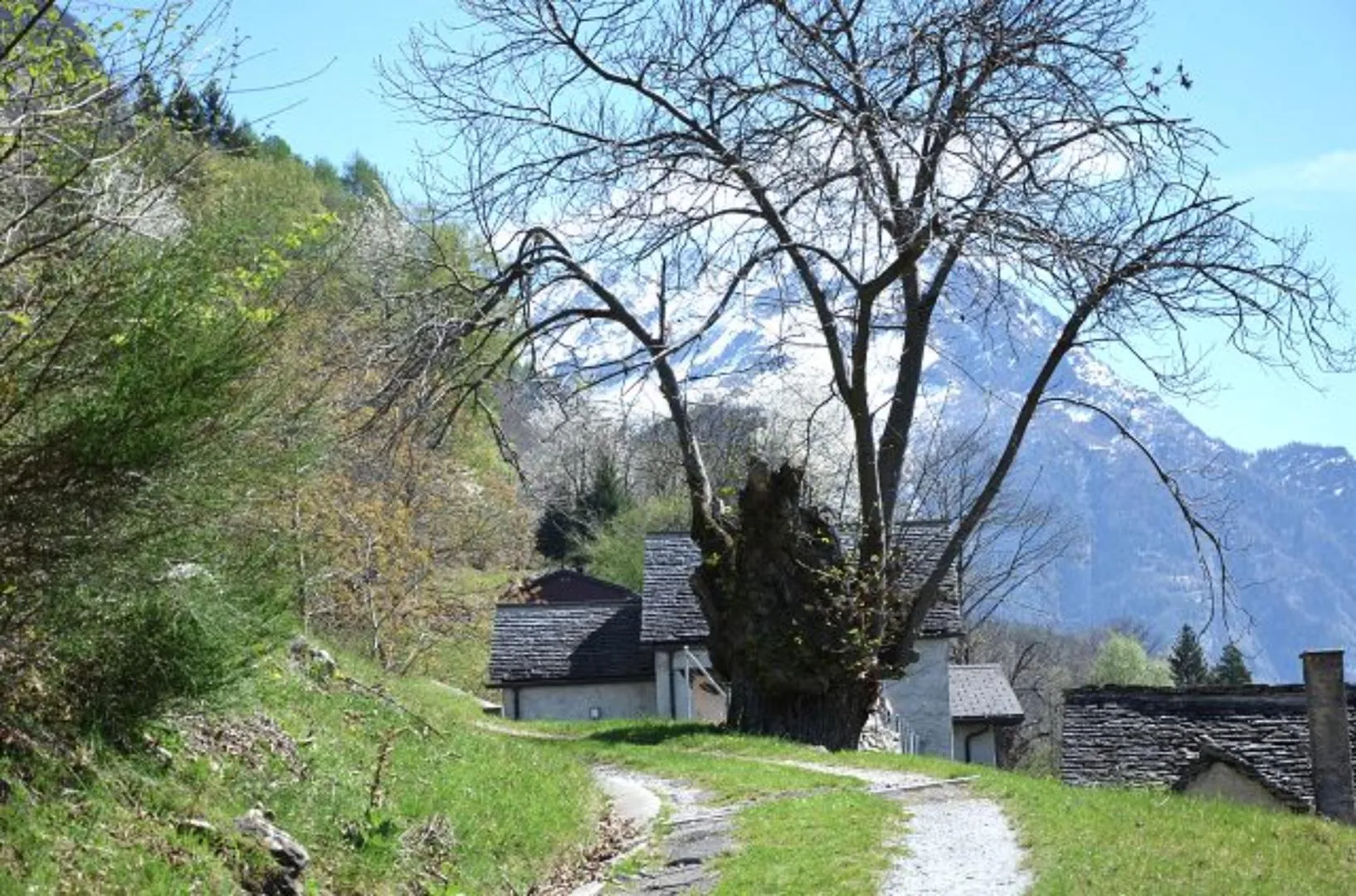 Image 34