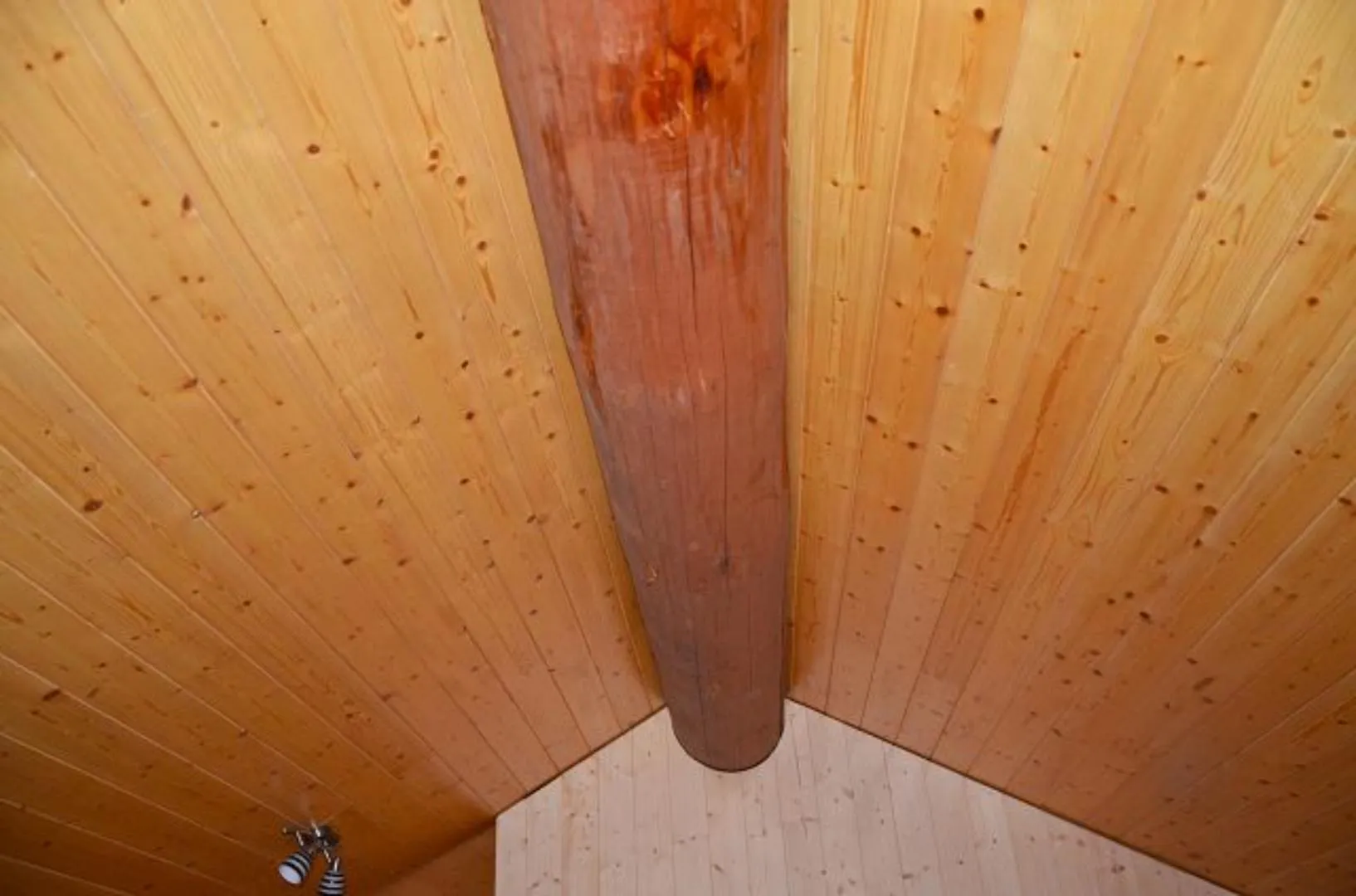 Image 15
